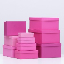 A set of boxes 10 in 1 Panton 230, 30.5 × 20 × 13 - 12 × 6.5 × 4 cm