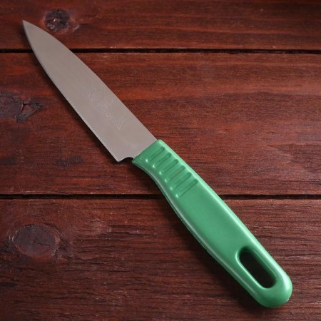 Tourist "steppe" 19.6cm, blade 98mm/0.7mm, mix-6