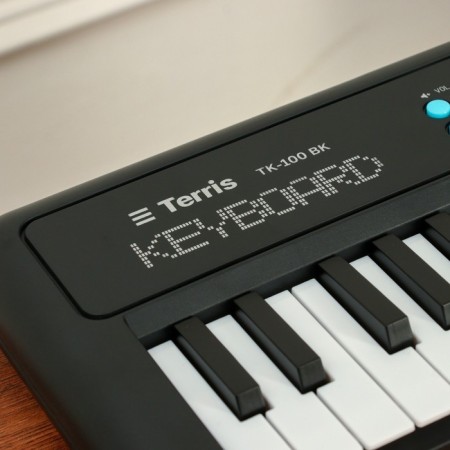 Terris TK-100 synthesizer, 37 mini keys, 8 timbres, black-3