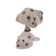 Dog on a car panel shocking his head, Dalmatian
