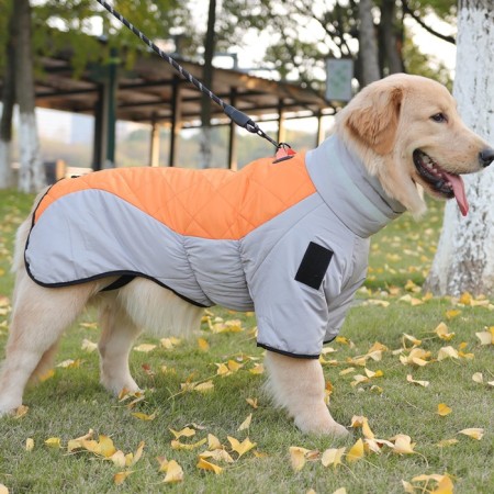 Jacket for large dogs, membrane, 2xl (DS 45, Osh 45, OG 63cm), gray-orange