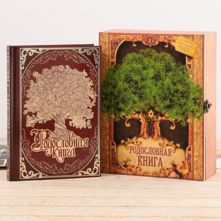 The genealogy book in the box "Tree of Life", 56 sheets, 20 x 26 cm-1