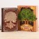 The genealogy book in the box "Tree of Life", 56 sheets, 20 x 26 cm