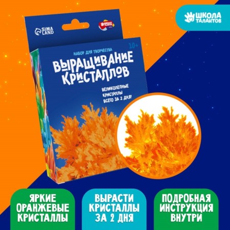 Set for growing the crystal “Experiments. Radiant crystals ", Orange color-4