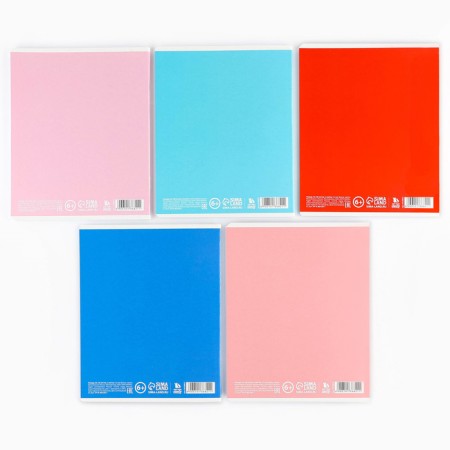 Notebook in a cage, 48 sheets A5 on a paper clip 5 pcs., Inner block No. 1 Mix “September 1: True Love” VD LAK-9