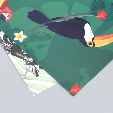 Scrapbooking paper bilateral "parrots, flamingos and zebra" density 180 g 30.5x32 cm-4