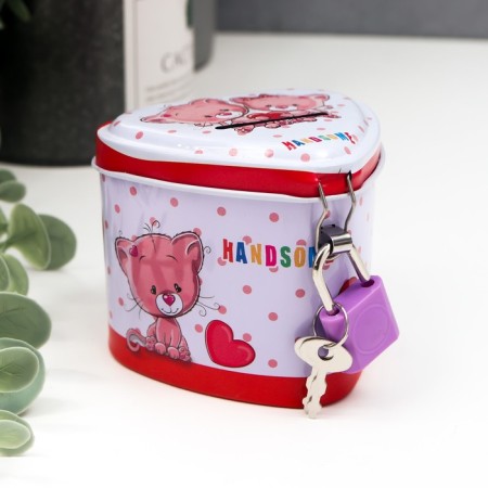 Piggy bank Metal "Beast" with a lock and keys mix 6x7.5x7 cm-1