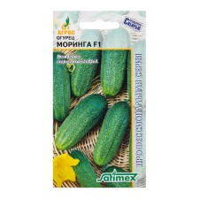 Seeds of the Morringa cucumber F1 10pcs* STSR