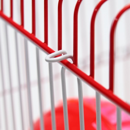 A cell for rodents equipped RT-2Q, 22 x 16 x 20 cm, red (packing 30 pcs)-9