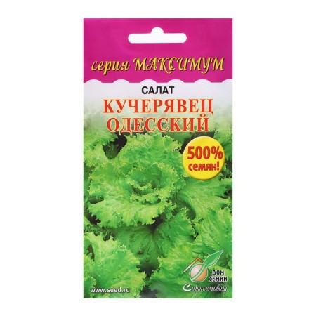 Salad Salad "Kuchevevets Odessa", maximum, 3600 pcs