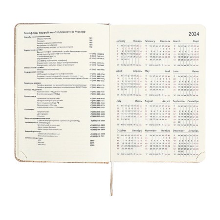 Dated diary 2025 A5 168 sheets, Devente.Barbara, a solid cover to leatherette with foam, praise, perforation, lies, block 70, beige, beige-9