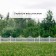 Decorative fence, 30 × 300 cm, 5 sections, plastic, white, Greengo