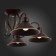 Ceiling EVOLUCE lamp. Sle120402-05. Ciolla. 5x60 watts, E27, 66x66x24 cm, dark -brown color