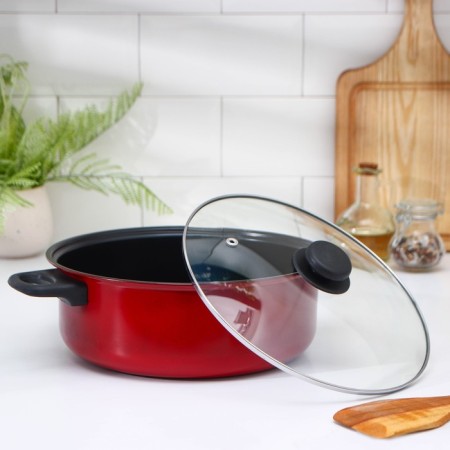 Renard Poster, 4 l, with a lid, a free fray grid 26 × 9 cm, anti -stick coating, red color-2
