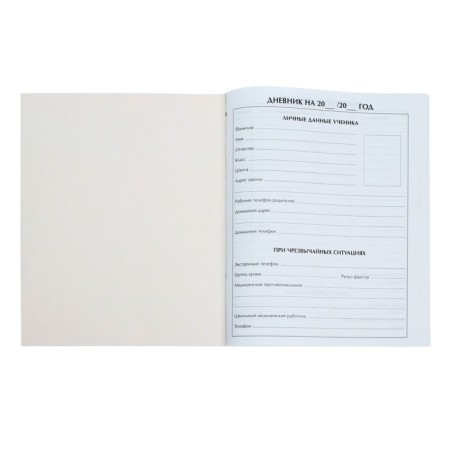 Universal diary for grades 1-11, "Owls. Pattern", soft cover, 40 sheets-2