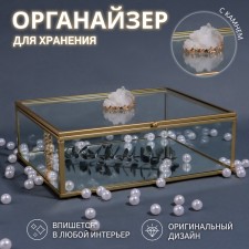 Organizer for storage 