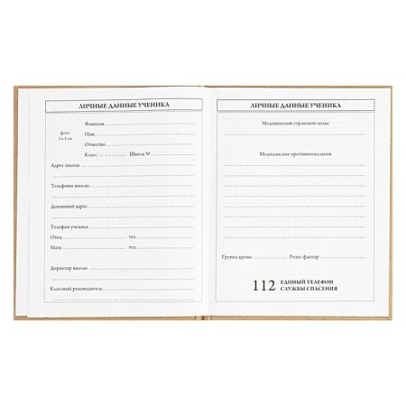 Universal Diary 5-11 classes, 48 ​​sheets "Bear", craft, solid cover, block 65 g/m2-4