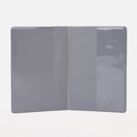 Cover for passport, blue color-2
