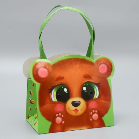 Carries for colors "Bear", 20 × 12 × 12 cm-1