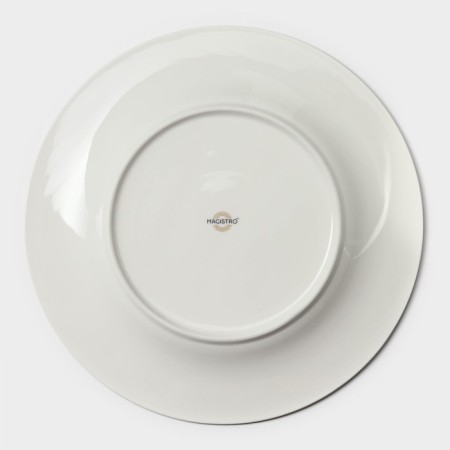 Porcelain plate lunch with a thickened edge Magistro la Perle, D = 23 cm, white color-3