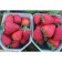 Strawberry garden measles, p9 pot, summer 2024