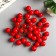 Decor for creativity "Red Berry" set 40 pcs diam 1.4 cm