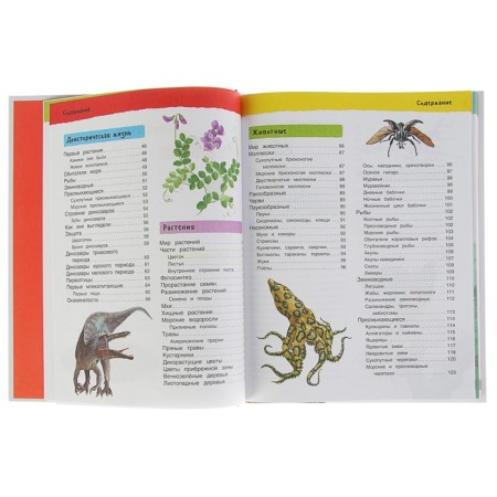 Big illustrated encyclopedia-8