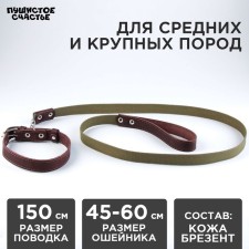 Set: collar (45-60x2.5 cm) leather and leash (150x2.5 cm) canvas, brown color