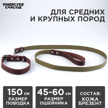 Set: collar (45-60x2.5 cm) leather and leash (150x2.5 cm) canvas, brown color
