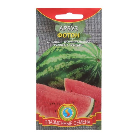 Seeds of watermelon photon