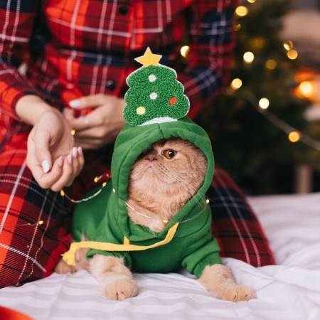 Animal costume "Christmas tree", size m, green-17