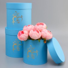 A set of boxes 3B1C with embossing 