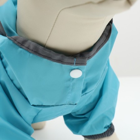 Dog ovens, demi -season with a visor, size S (DS 28, OG 41, Osh 31 cm), Blue-8