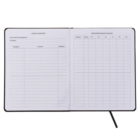 Universal diary for grade 1-11 do not enter, integral cover, artificial leather, silkography, lies, 80 g/m2-4