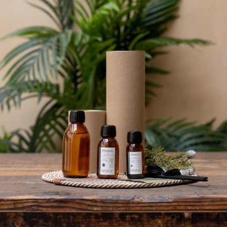 Диффузор Pasionaria «Ель», 100 мл-1