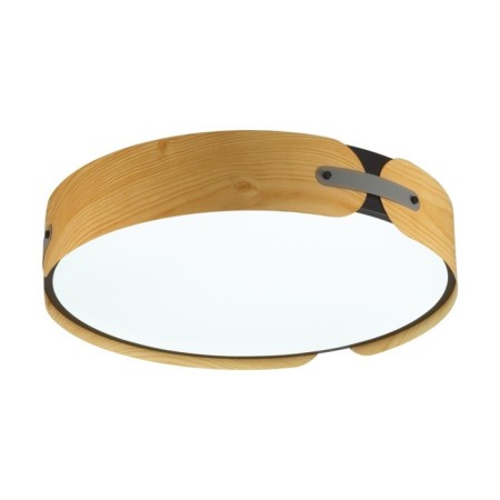 Lamp Coraggio LED 65W 3000-6000K D450 IP20, with PDU-7
