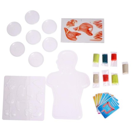 Set for experiments "My amazing body"-2