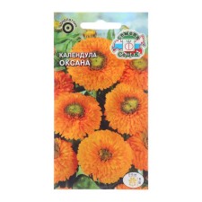 Calendula flowers 