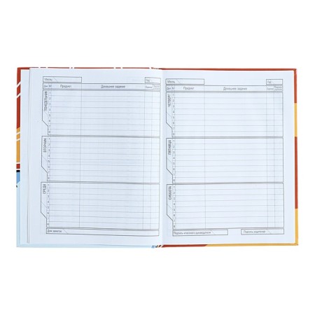 Diary for grades 1-11, solid cover "Vlad A4", 40 sheets, glossy lamination-6