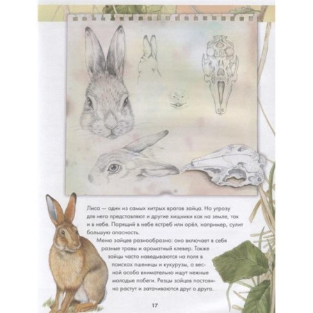 Animals around us-3