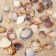 A set of decorative shells