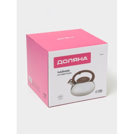 A kettle of stainless steel kettle of a “quantum”, 2.8 l, fixed Soft-Touch pen, chrome color-10