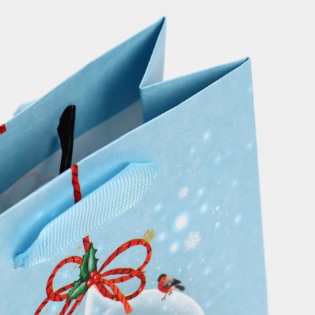 Package laminated vertical "tenderness", 12 x 15 x 5.5 cm, new year-5