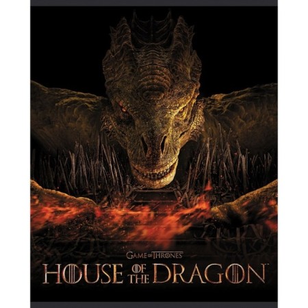 Notebook of 48 sheets in the cage "Dragon House", cover coated cardboard, rounded corners, mix-2