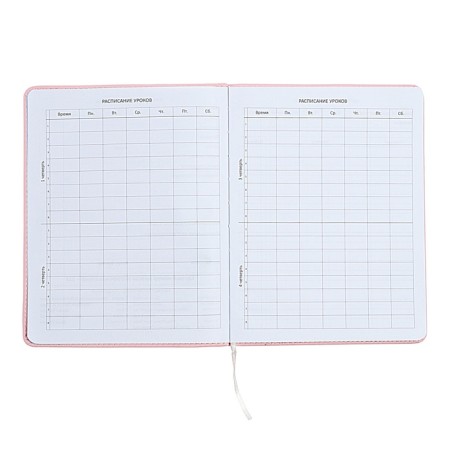 Universal diary for grade 1-11 Fashion Bear, solid cover, artificial leather, foam rubber, liesse, 80 g/m2-5