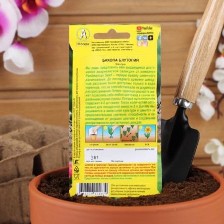 Bakop Bakop Flowers Blutopia --- ONE (dragee in a test tube) sat down. Panamerican Seed 3pcs/P-3