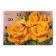 Carty clock is wall-mounted, interior "roses", silent, 25 x 35 cm