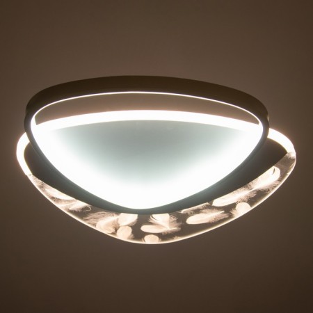 Chase with DNO "Malva" LED 120W 3000-6000K white-gold 50x45x7 cm Bayerlux-2