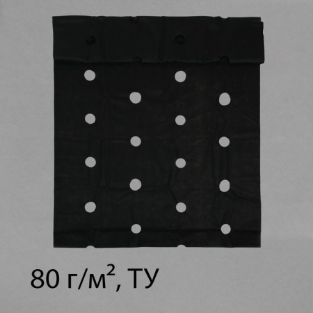 Mulching material, with perforation (4 rows), 20 × 1.6 m, density 80 g/m², spanbond with UV stabilizer, black, Greengo, economy 30%-9