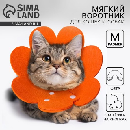 Soft collar for animals Fright, orange cent, size m